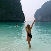 Отзыв от Алла - DTV виза